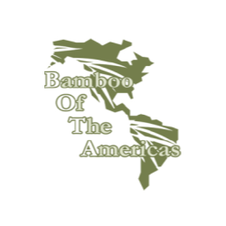 bamboo-of-the-americas