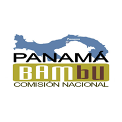 panama-bambu