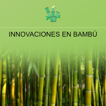 BAMBU