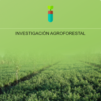 INVESTIGACION AGRO